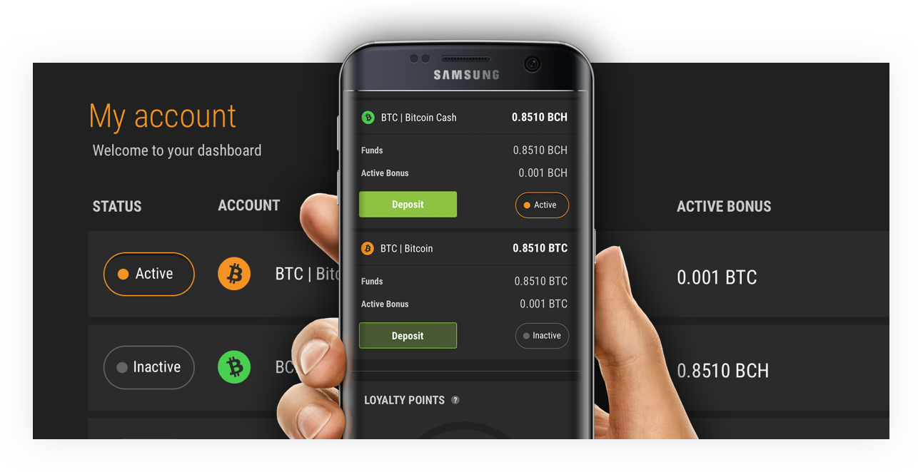 Bitcoin Cash Betting The Best Bitcoin Betting Site - 